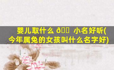 婴儿取什么 🐠 小名好听(今年属兔的女孩叫什么名字好)